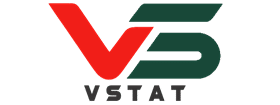 VietWin - Phần mềm kế toán EGames - logo vstat 1